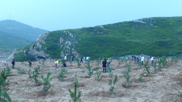 神達花溝煤業(yè)員工風(fēng)采之植樹